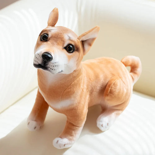 Realistic Sitting Small Basenji Stuffed Animal Plush Toys-dun chaiquan-25cm-1