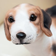 Load image into Gallery viewer, Realistic Sitting Small Black Tan Dachshund Stuffed Animal Plush Toys-Stuffed Animals-Dachshund,Dog Memorial Gifts,Stuffed Animal-5