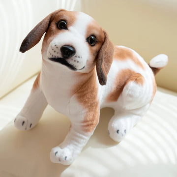 Realistic Sitting Small Jack Russell Terrier Stuffed Animal Plush Toys Dun Chaliwang 25cm 360x