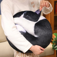 Load image into Gallery viewer, Realistic Sleeping Black and White Cat Pillow - Cosy Curled-Up Cutie-13