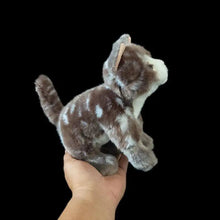Load image into Gallery viewer, Realistic Small Brown Tabby and White Cat Stuffed Animal Plush Toy-8