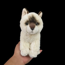 Load image into Gallery viewer, Realistic Small Siamese Cat Stuffed Animal Plush Toy-6