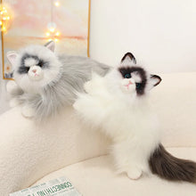 Load image into Gallery viewer, Realistic Soft Furry British Longhair Cat Stuffed Animal Plush Toy-2