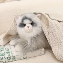 Load image into Gallery viewer, Realistic Soft Furry British Longhair Cat Stuffed Animal Plush Toy-3