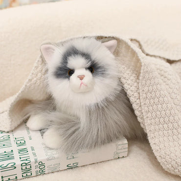 Realistic Soft Furry British Longhair Cat Stuffed Animal Plush Toy