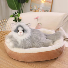 Load image into Gallery viewer, Realistic Soft Furry British Longhair Cat Stuffed Animal Plush Toy-Cats-Cat Memorial Gifts,Cats,Stuffed Animal-2