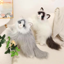 Load image into Gallery viewer, Realistic Soft Furry British Longhair Cat Stuffed Animal Plush Toy-Stuffed Animals-Cat Memorial Gifts,Cats,Stuffed Animal-7