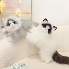 Load image into Gallery viewer, Realistic Soft Furry Ragdoll Cat Stuffed Animal Plush Toy-Stuffed Animals-Cat Memorial Gifts,Cats,Ragdoll Cat,Stuffed Animal-5