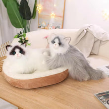 Load image into Gallery viewer, Realistic Soft Furry British Longhair Cat Stuffed Animal Plush Toy-Stuffed Animals-Cat Memorial Gifts,Cats,Stuffed Animal-9