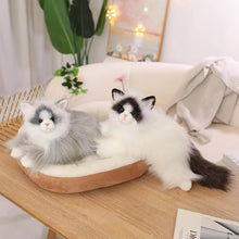 Load image into Gallery viewer, Realistic Soft Furry British Longhair Cat Stuffed Animal Plush Toy-Stuffed Animals-Cat Memorial Gifts,Cats,Stuffed Animal-8