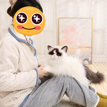 Load image into Gallery viewer, Realistic Soft Furry British Longhair Cat Stuffed Animal Plush Toy-Stuffed Animals-Cat Memorial Gifts,Cats,Stuffed Animal-4