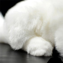 Load image into Gallery viewer, Realistic Soft Furry White Cat Plush Toy Stuffed Animal-10