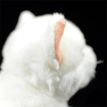 Load image into Gallery viewer, Realistic Soft Furry White Cat Plush Toy Stuffed Animal-9
