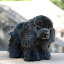 Load image into Gallery viewer, Realistic Standing Black English Cocker Spaniel Stuffed Animal Plush Toy-6