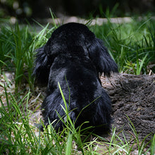 Load image into Gallery viewer, Realistic Standing Black English Cocker Spaniel Stuffed Animal Plush Toy-8