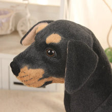 Load image into Gallery viewer, Realistic Standing Rottweiler Stuffed Animal Plush Toy (Tiny to Giant Size)-10