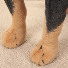 Load image into Gallery viewer, Realistic Standing Rottweiler Stuffed Animal Plush Toy (Tiny to Giant Size)-12