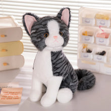 Load image into Gallery viewer, Realistic Tabby Silver and White Cat Plush - Bright-Eyed Sitting Kitty