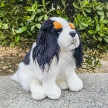 Load image into Gallery viewer, Realistic Tricolor Cavalier King Charles Spaniel Stuffed Animal Plush Toy-Stuffed Animals-Cavalier King Charles Spaniel,Dog Memorial Gifts,Stuffed Animal-3