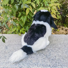 Load image into Gallery viewer, Realistic Tricolor Cavalier King Charles Spaniel Stuffed Animal Plush Toy-Stuffed Animals-Cavalier King Charles Spaniel,Dog Memorial Gifts,Stuffed Animal-7