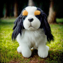 Load image into Gallery viewer, Realistic Tricolor Cavalier King Charles Spaniel Stuffed Animal Plush Toy-Stuffed Animals-Cavalier King Charles Spaniel,Dog Memorial Gifts,Stuffed Animal-1