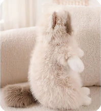 Load image into Gallery viewer, Realistic Black and White Cat Plush Toy - Fluffy Sitting Cat Stuffed Animal-Stuffed Animals-Black and White Cat,Cat Memorial Gifts,Cats,Stuffed Animal-10