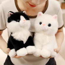 Load image into Gallery viewer, Realistic White Cat Stuffed Animal Plush Toy - Small Size - Sitting Pose-Cats-Stuffed Animal-15
