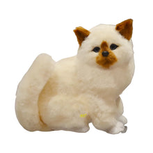 Load image into Gallery viewer, Red and White Persian Cat plush - Sweet Chubby Cheeks-5