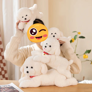 Red Collar Bichon Frise Stuffed Animal Plush Toys-9