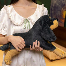 Load image into Gallery viewer, Rottweiler Plush Toy - Belly Flop Sploot Design-2