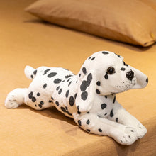 Load image into Gallery viewer, Rottweiler Plush Toy - Belly Flop Sploot Design-Stuffed Animals-Dog Memorial Gifts,Rottweiler,Stuffed Animal-4