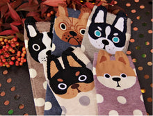 Load image into Gallery viewer, Rottweiler sock - Cheeky Dotty Pup-12