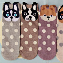 Load image into Gallery viewer, Rottweiler sock - Cheeky Dotty Pup-4