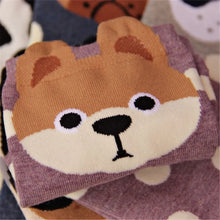 Load image into Gallery viewer, Rottweiler sock - Cheeky Dotty Pup-7