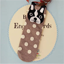 Load image into Gallery viewer, Rottweiler sock - Cheeky Dotty Pup-9