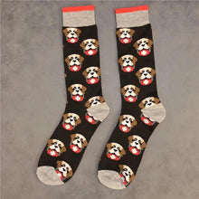 Load image into Gallery viewer, Image of saint bernard socks in the the most adorable classic Saint Bernard design
