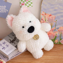 Load image into Gallery viewer, Samoyed Plush - Big Nose Cutie - 3 Sizes-4