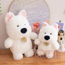 Load image into Gallery viewer, Samoyed Plush - Big Nose Cutie - 3 Sizes-1