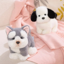 Load image into Gallery viewer, Schnauzer Plush Toy - Adorable Schnauzer Head Tilt-3