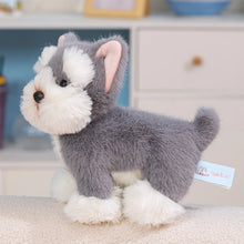 Load image into Gallery viewer, Schnauzer Plush Toy - Adorable Schnauzer Head Tilt-4