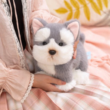 Load image into Gallery viewer, Schnauzer Plush Toy - Adorable Schnauzer Head Tilt-6