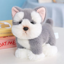 Load image into Gallery viewer, Schnauzer Plush Toy - Adorable Schnauzer Head Tilt-Stuffed Animals-Dog Memorial Gifts,Schnauzer,Stuffed Animal-6