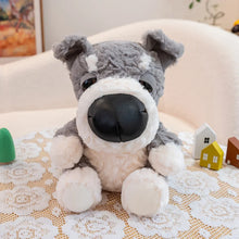Load image into Gallery viewer, Schnauzer Plush Toy - Cutest Sitting Big Nose Schnauzer-Schnauzer-15cm-1