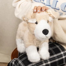 Load image into Gallery viewer, Schnauzer Plush Toys - 3 Coat Colors - Adorable Small Standing Schnauzers-C-23cm-12