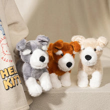 Load image into Gallery viewer, Schnauzer Plush Toys - 3 Coat Colors - Adorable Small Standing Schnauzers-1