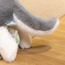 Load image into Gallery viewer, Schnauzer Soft Toy - Belly Flop Sploot Design-4