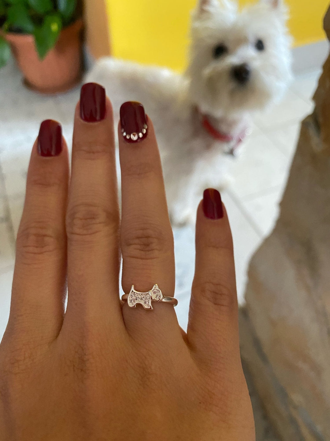 Image of a lady wearing silver Scottie dog ring in sparkling white-stone studded Scottish Terrier design flaunting in front of her dog