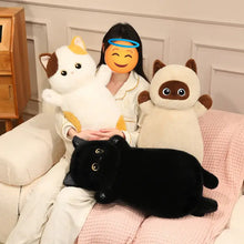 Load image into Gallery viewer, Siamese Cat Pillow - Kawaii Fat Cat Plush Toy-15