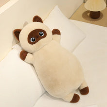 Load image into Gallery viewer, Siamese Cat Pillow - Kawaii Fat Cat Plush Toy-Siamese cat-65cm-1