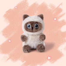 Load image into Gallery viewer, Siamese Cat Plush Toy Teddy Bear - Tiny Size-Cats-Cats,Stuffed Animal-4